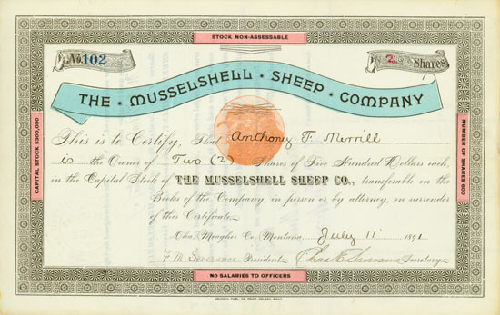 Musselshell Sheep Company
