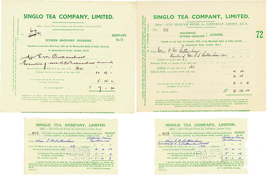 Singlo Tea Company, Limited [4 Stück]