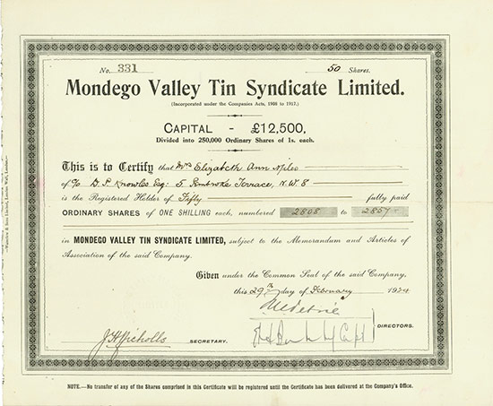 Mondego Valley Tin Syndicate Limited