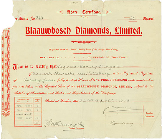 Blaauwbosch Diamonds, Limited