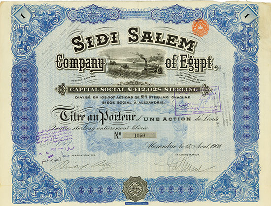 Sidi Salem Company of Egypt Société Anonyme