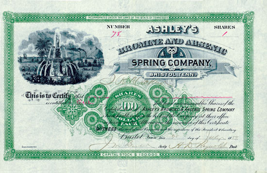 Ashley's Bromine and Arsenic Spring Company