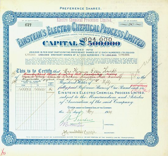 Einstein's Electro Chemical Process Limited